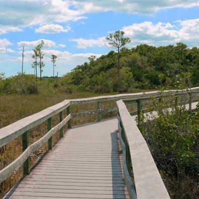 Cool Florida Wind - 10 Hours Sleep Sound Cool Florida Wind - 10 Hours Sleep Sound
